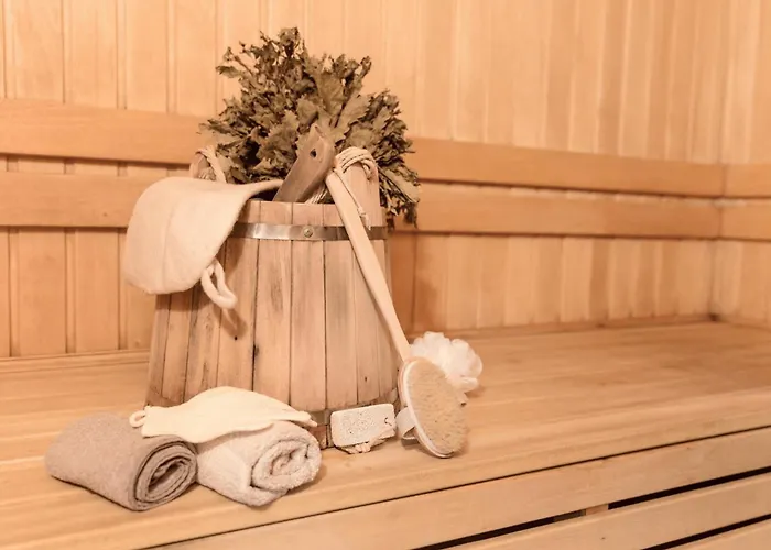 Alpine 208 By Globboard Schladming